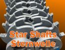 11 sternwelle